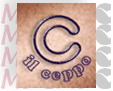 Il Ceppo